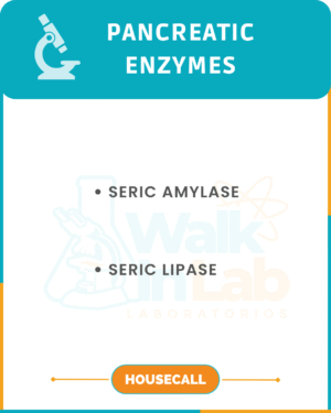 PANCREATIC ENZYMES
