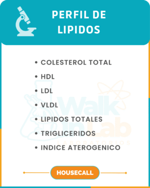 PERFIL DE LIPIDOS