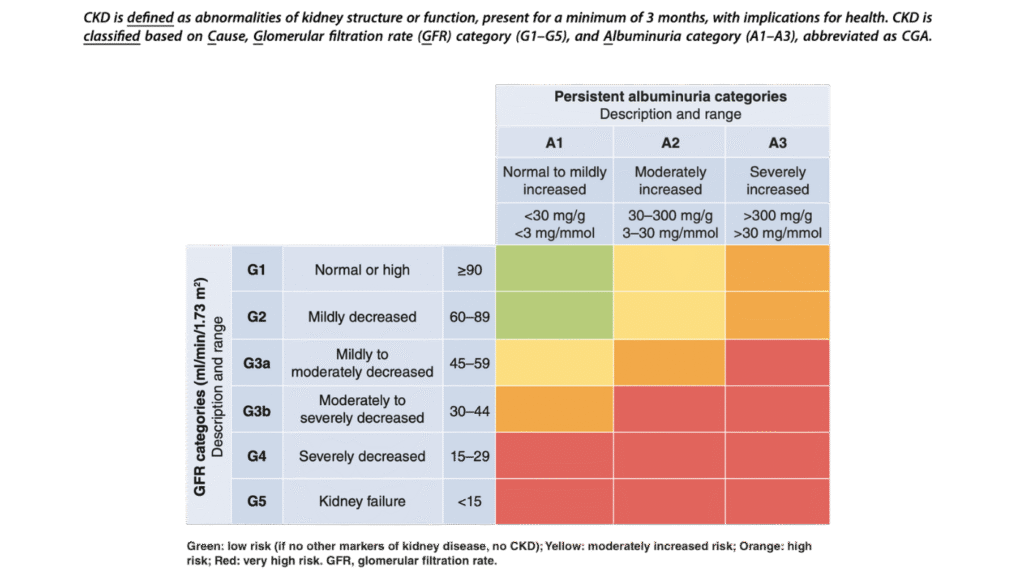diagram of metabolic panel e glomerular filtration rate